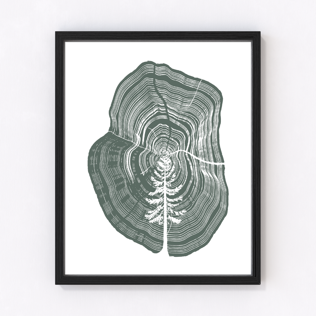 Tree in Tree Rings Letterpress Print