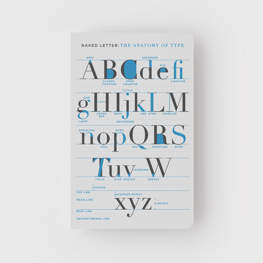 Anatomy of Type Notebook