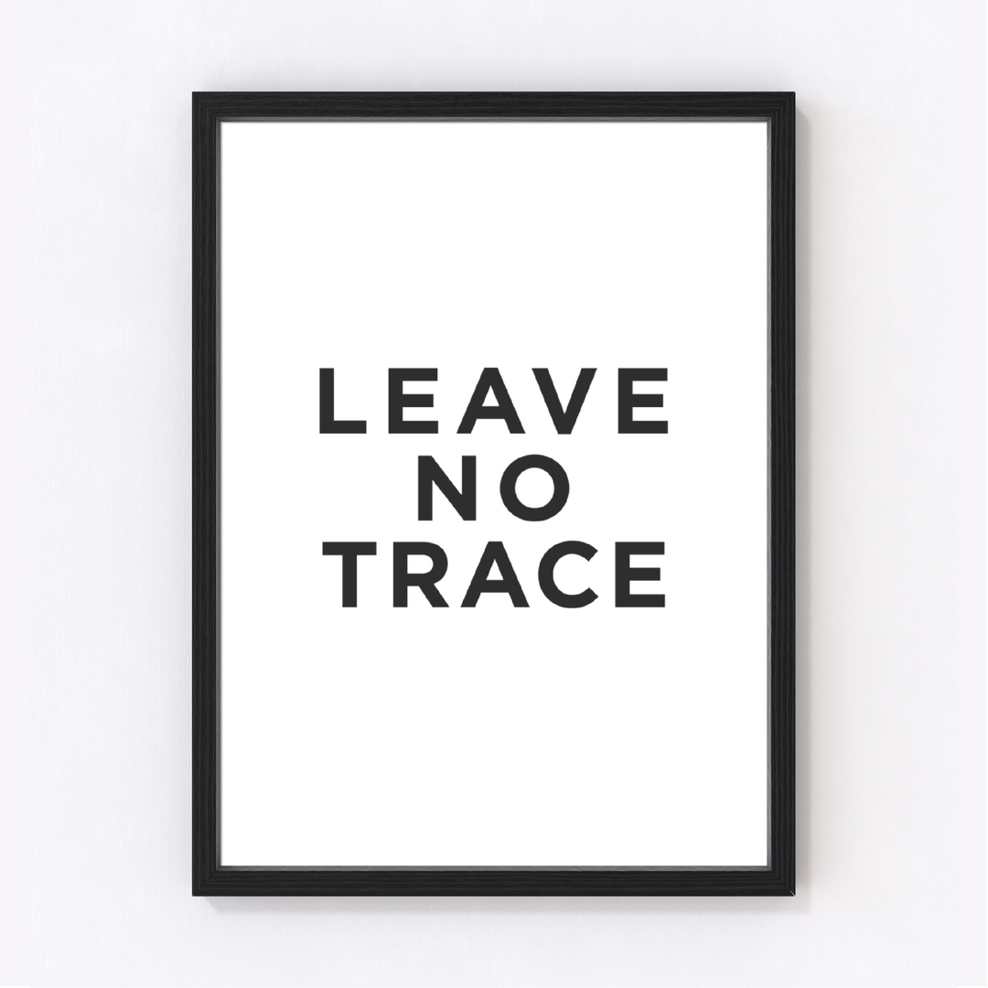 Leave No Trace Art Print