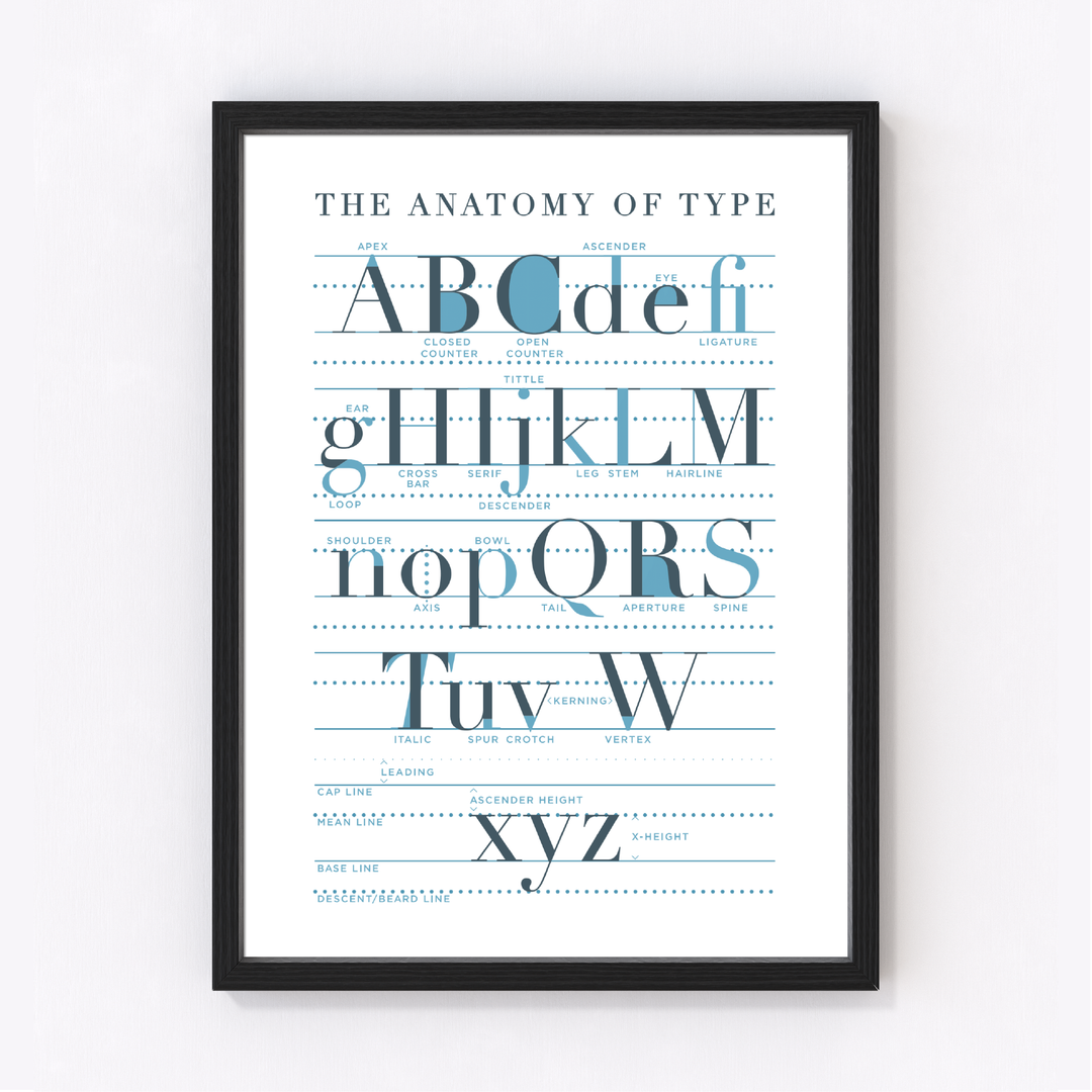 Anatomy Of Type Art Print