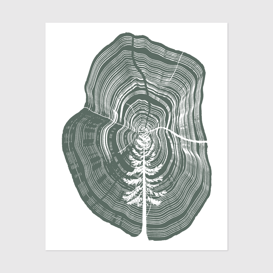 Tree in Tree Rings Art Print