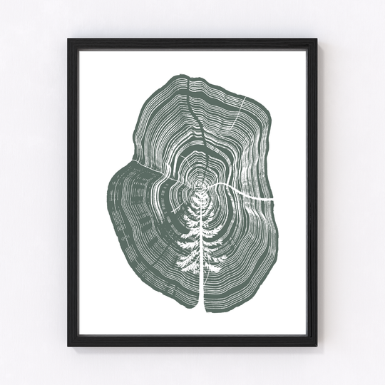 A stylized cross-section of tree rings with intricate growth lines and a faint tree silhouette centered on a crisp white background.