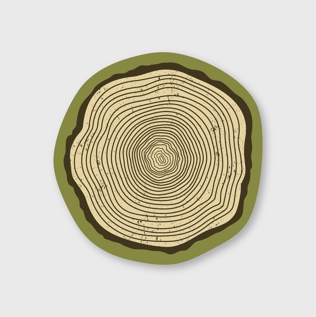 This die cut vinyl Tree Stump Sticker showcases an illustration of a tree ring cross-section. It features tan concentric growth rings outlined in brown and is framed by an olive green border. Designed to be weather-resistant, this sticker represents the passage of time and the age of a tree, making it ideal for long-lasting display.