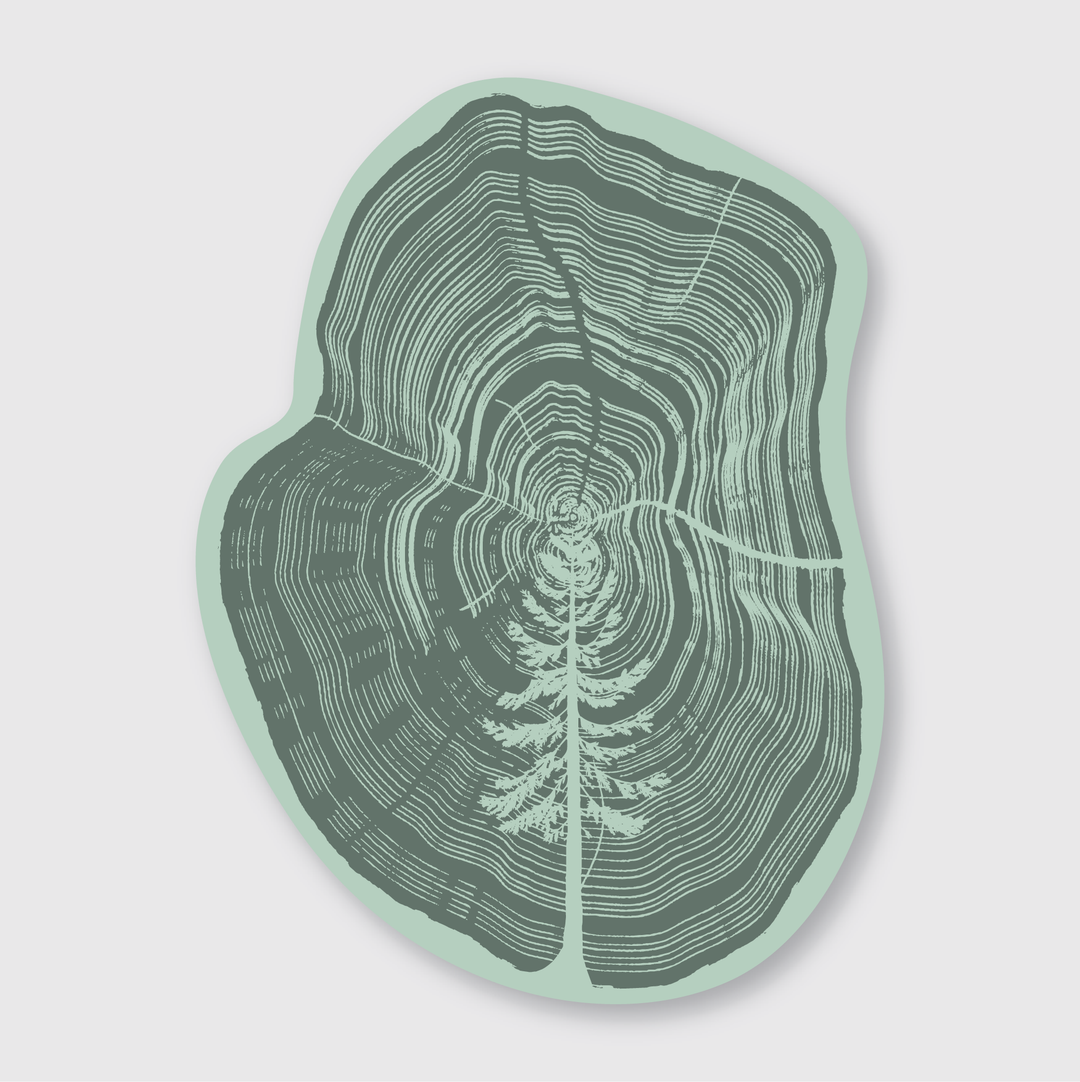 Introducing the Tree In Tree Sticker, featuring a unique design with a stylized illustration of a tree cross-section. This design highlights rings and a central tree silhouette, all in varying shades of green. This die-cut vinyl sticker is perfect for adding an artistic touch to any surface.